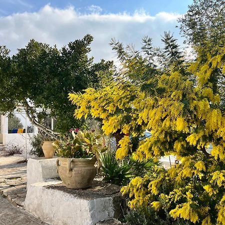 Syconium Trullo And Lamia Gea Charme And History Otel Ostuni Dış mekan fotoğraf