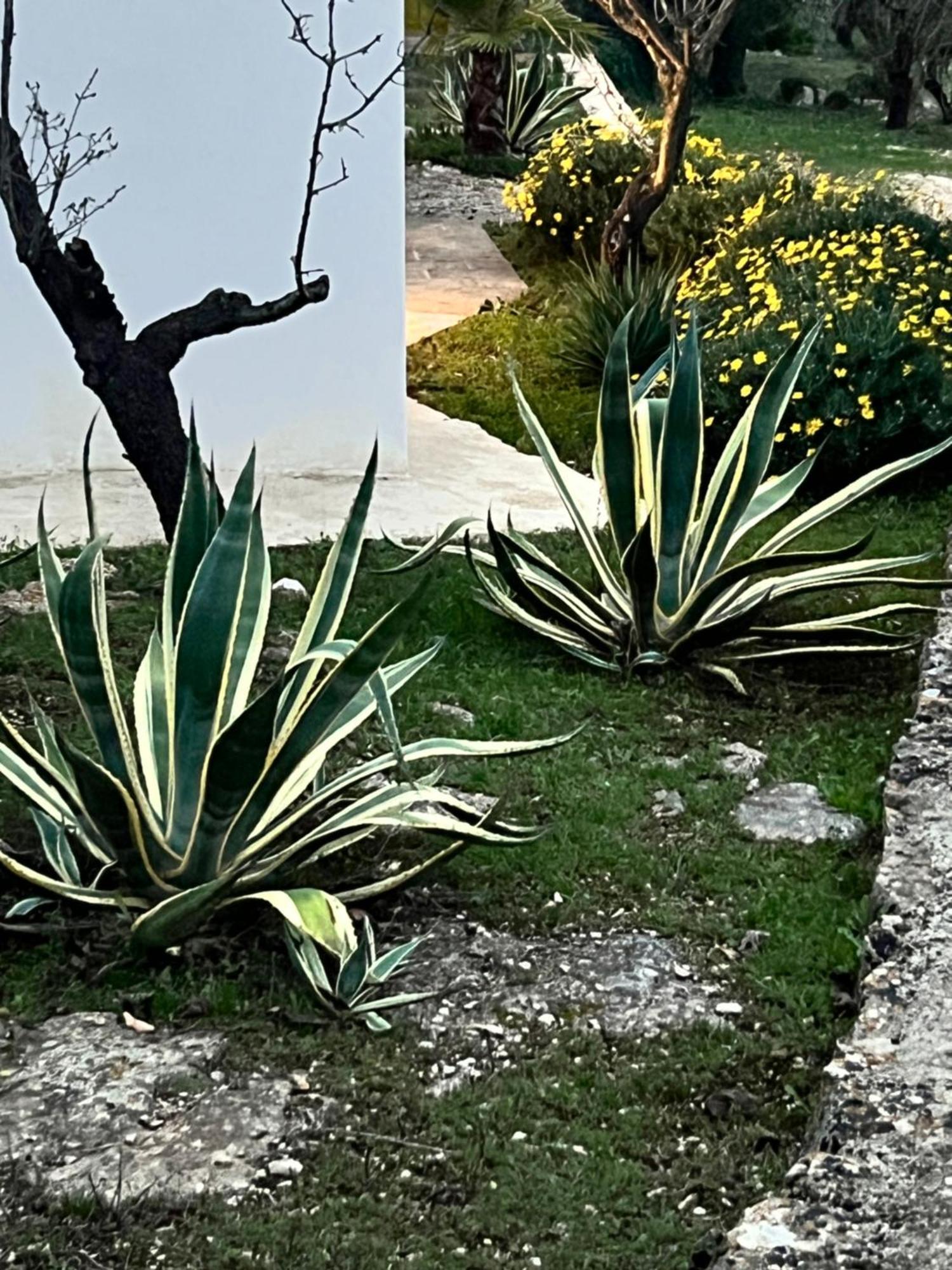 Syconium Trullo And Lamia Gea Charme And History Otel Ostuni Dış mekan fotoğraf