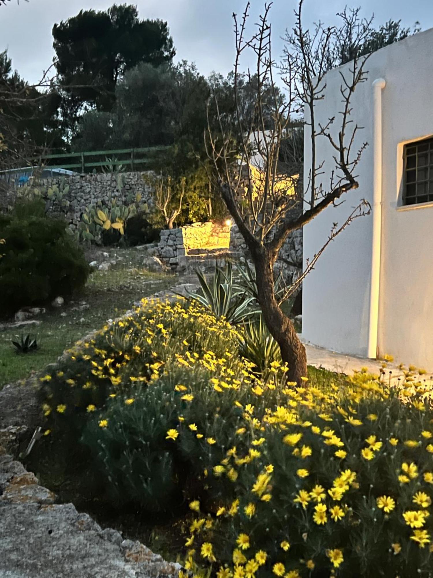 Syconium Trullo And Lamia Gea Charme And History Otel Ostuni Dış mekan fotoğraf